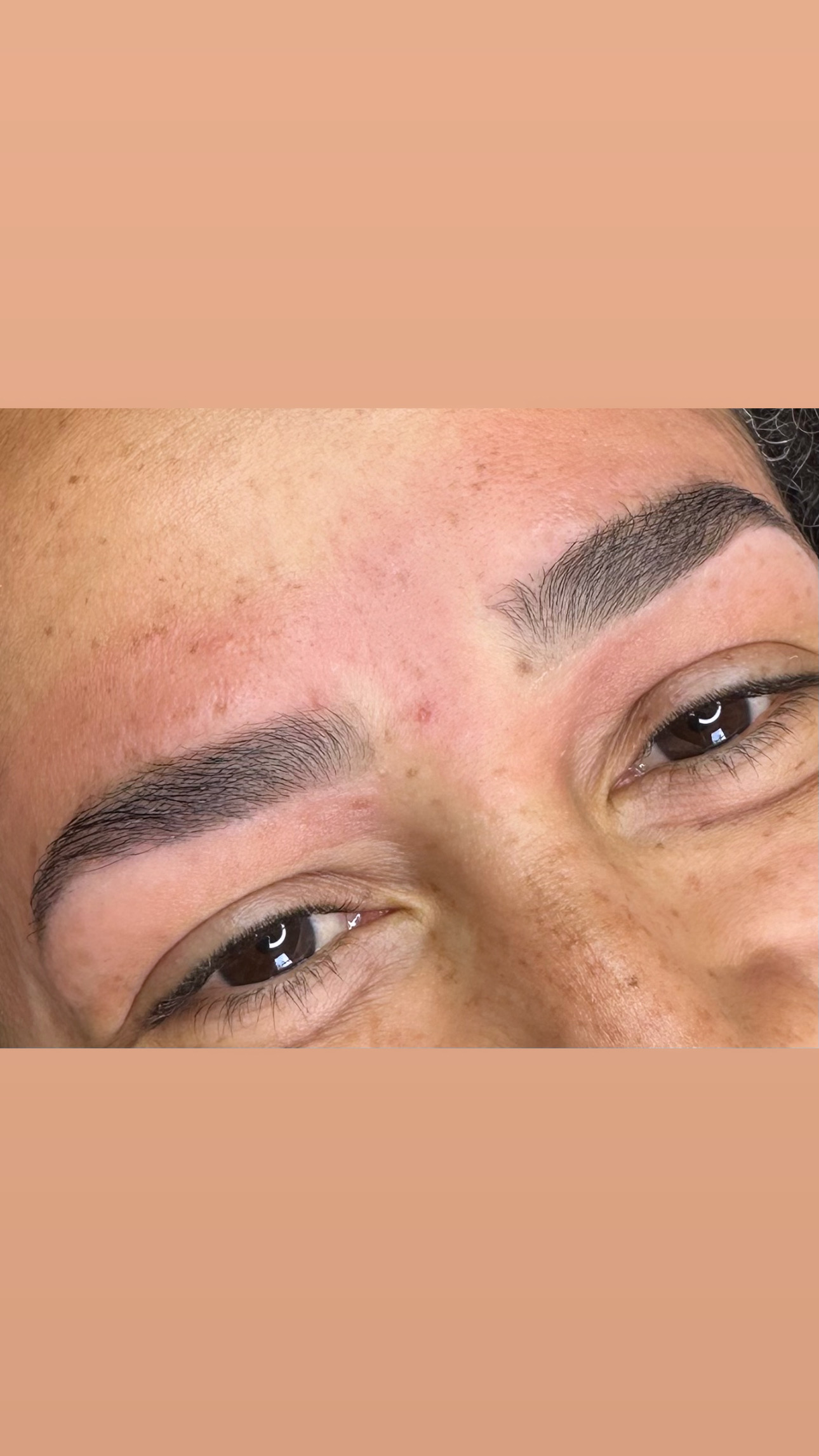 Brow Architecture & Organic Henna Mapping - AFTER